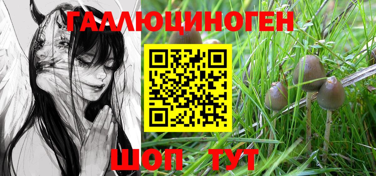 Галлюциногенные грибы Cubensis  Вход с VPN  сколько стоит  Бердск 