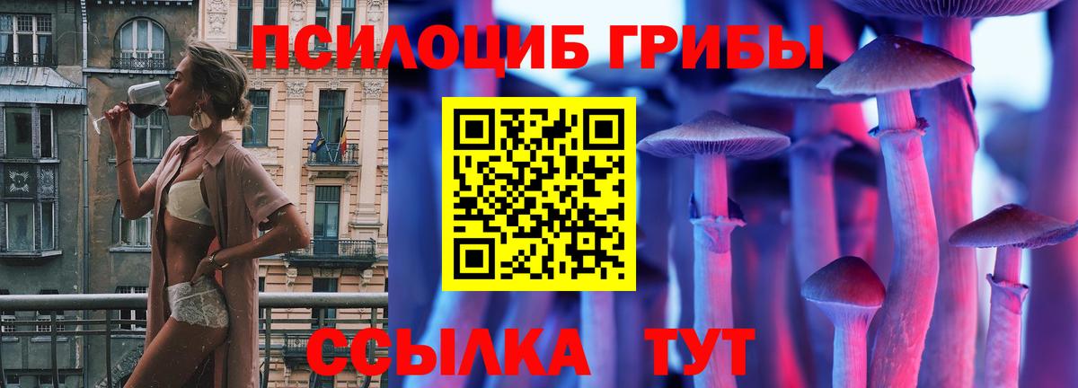 Галлюциногенные грибы Magic Shrooms Бердск